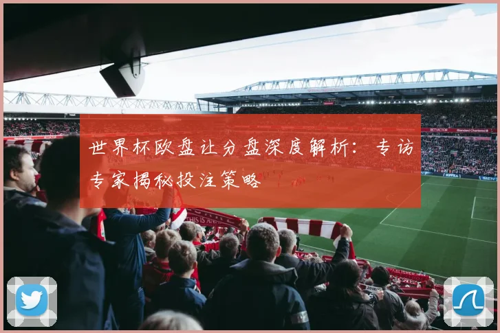世界杯欧盘让分盘深度解析：专访专家揭秘投注策略