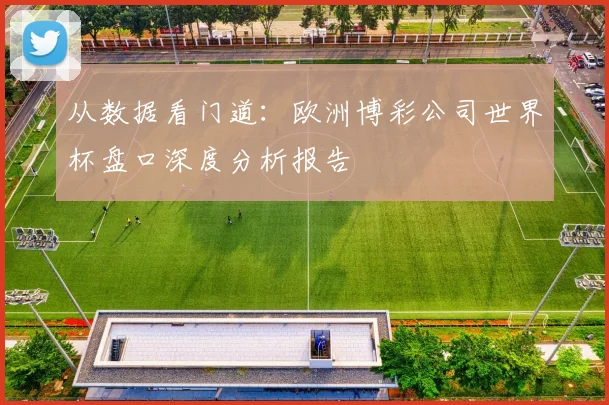 从数据看门道：欧洲博彩公司世界杯盘口深度分析报告