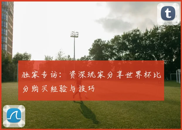 独家专访：资深玩家分享世界杯比分购买经验与技巧