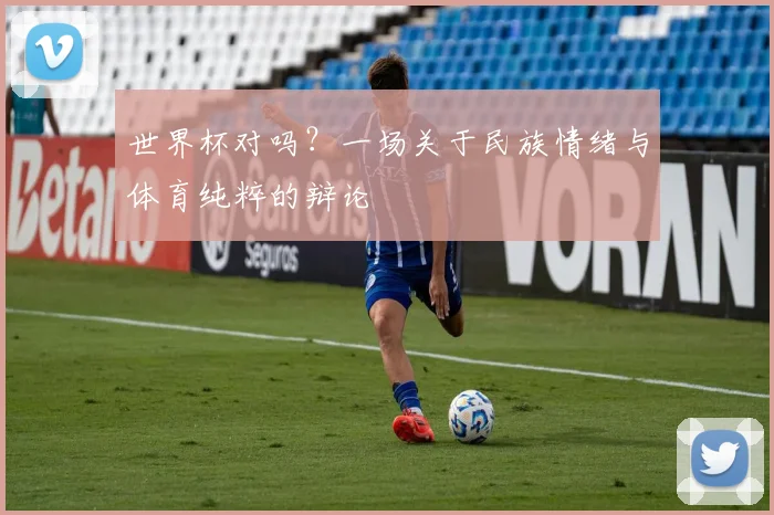 世界杯对吗？一场关于民族情绪与体育纯粹的辩论