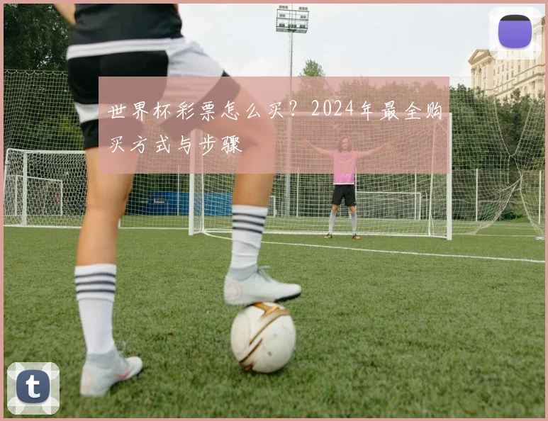 世界杯彩票怎么买？2024年最全购买方式与步骤