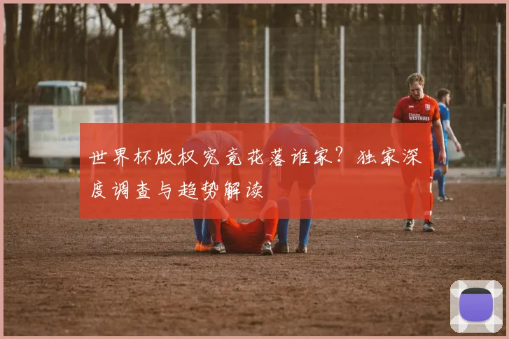 世界杯版权究竟花落谁家？独家深度调查与趋势解读