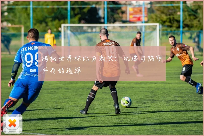 揭秘世界杯比分购买：机遇与陷阱并存的选择