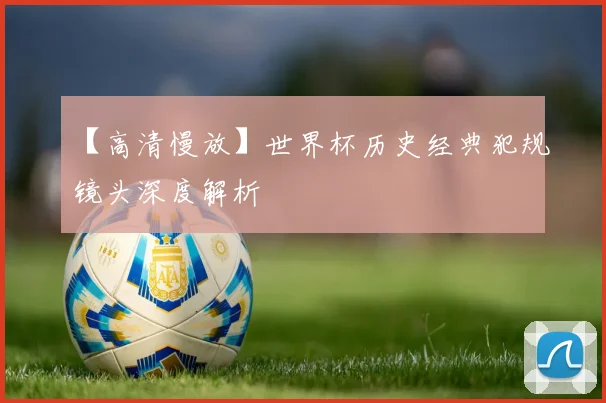 【高清慢放】世界杯历史经典犯规镜头深度解析