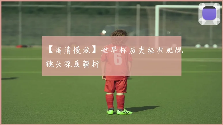 【高清慢放】世界杯历史经典犯规镜头深度解析
