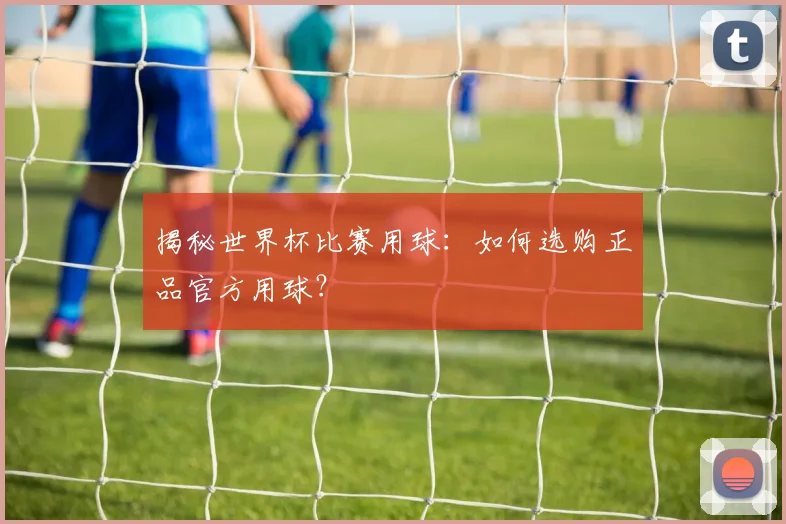 揭秘世界杯比赛用球：如何选购正品官方用球？