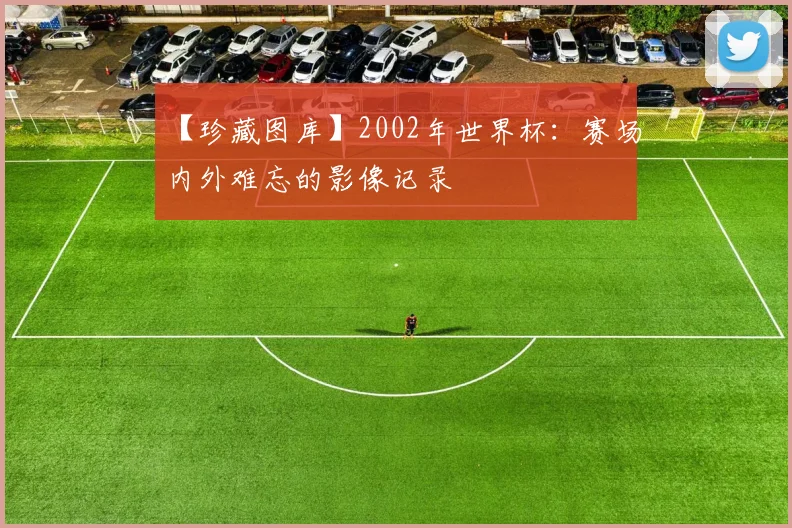 【珍藏图库】2002年世界杯：赛场内外难忘的影像记录