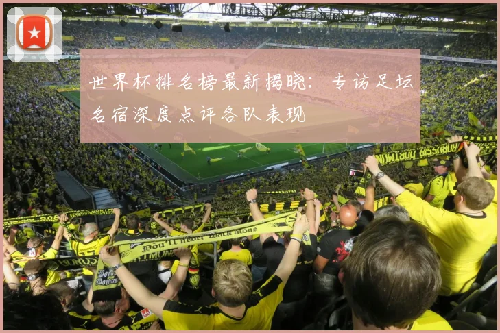 世界杯排名榜最新揭晓：专访足坛名宿深度点评各队表现